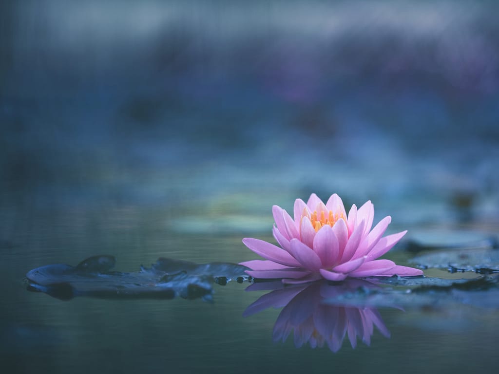 relaxation-and-meditation