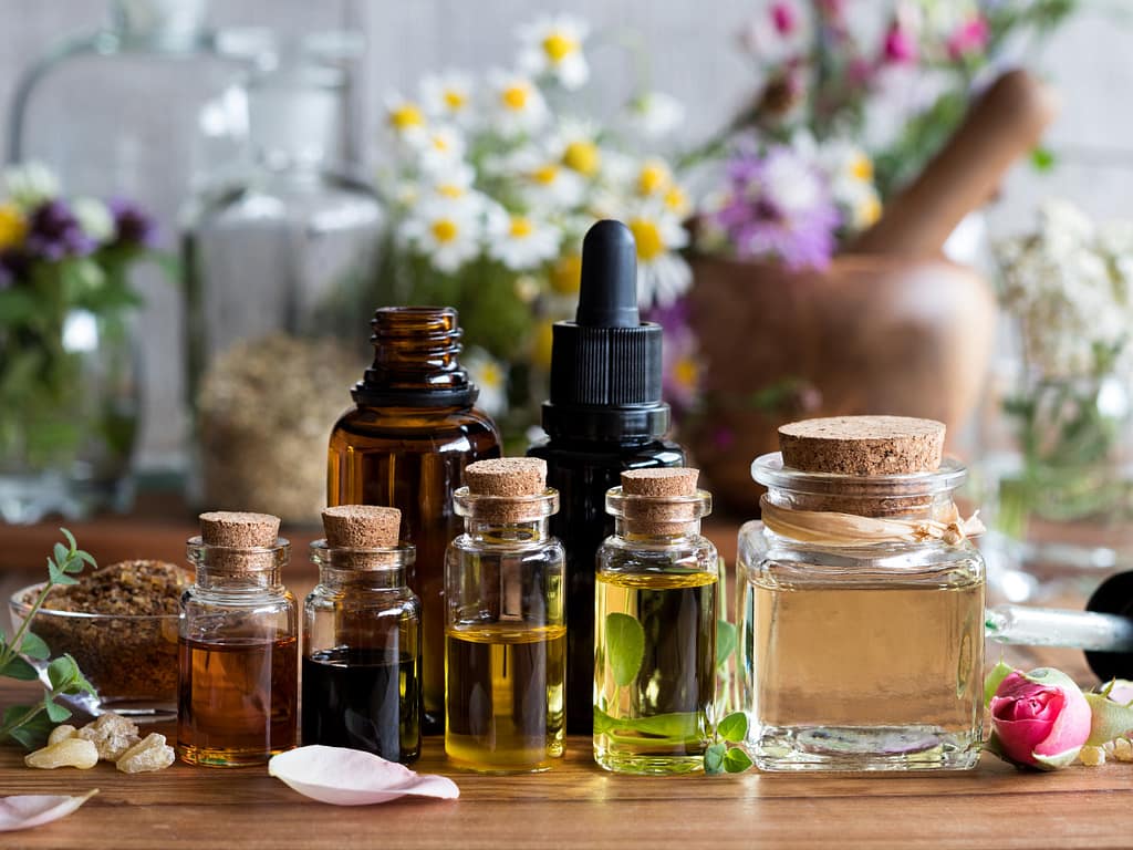 oils-essential-oils