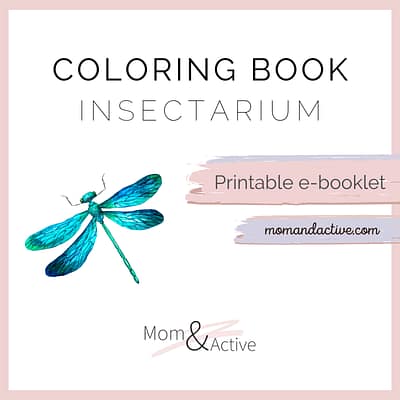 Insects Printable Coloring Book