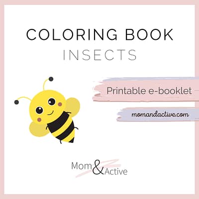 Insects Printable Coloring Book