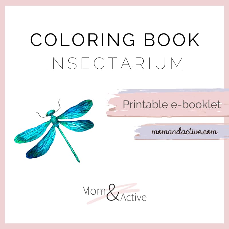 Insects Printable Coloring Book