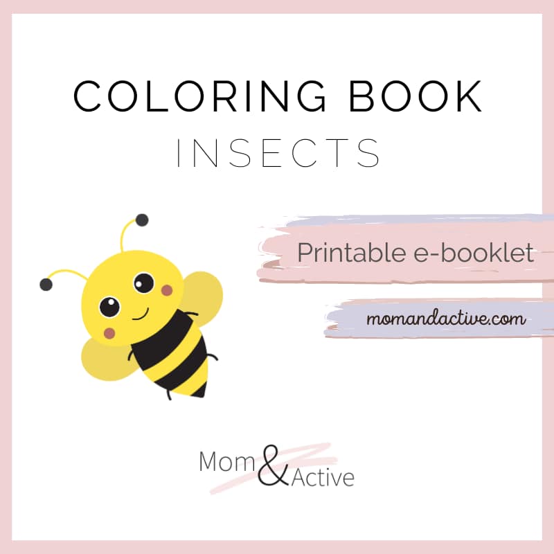 Insects Printable Coloring Book