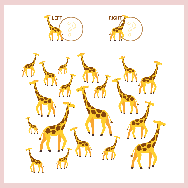 activity-book-counting