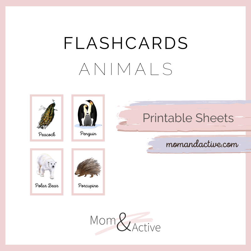 Animals Flashcards